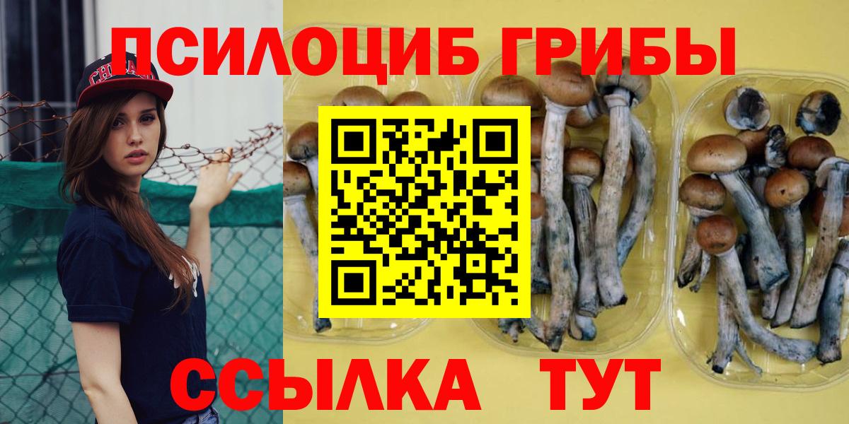 Галлюциногенные грибы мухоморы Магнитогорск
